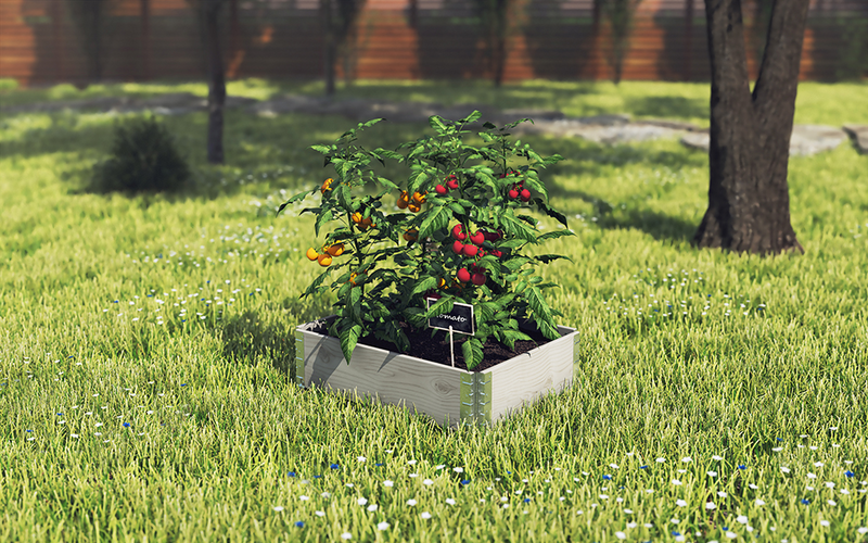 Lavakaulus Goodiy 80x60cm luonnonvärinen