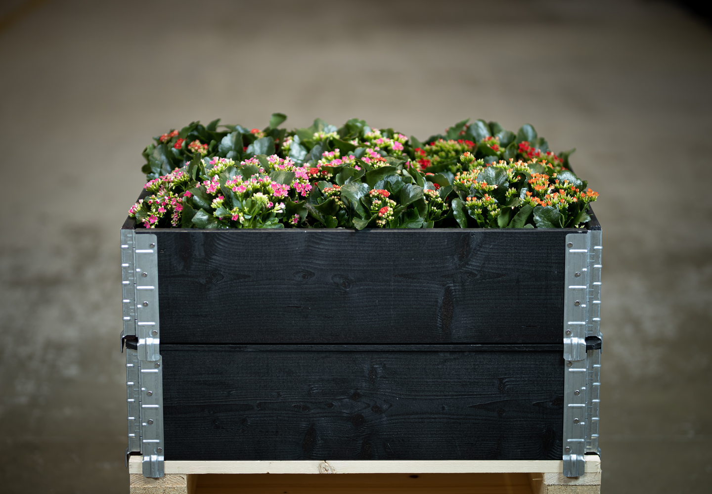 ODLINGSKRAGE 80X60CM SVART GOODIY