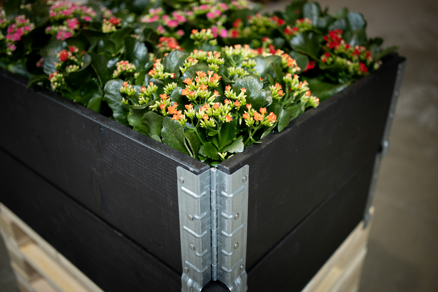 ODLINGSKRAGE 80X60CM SVART GOODIY