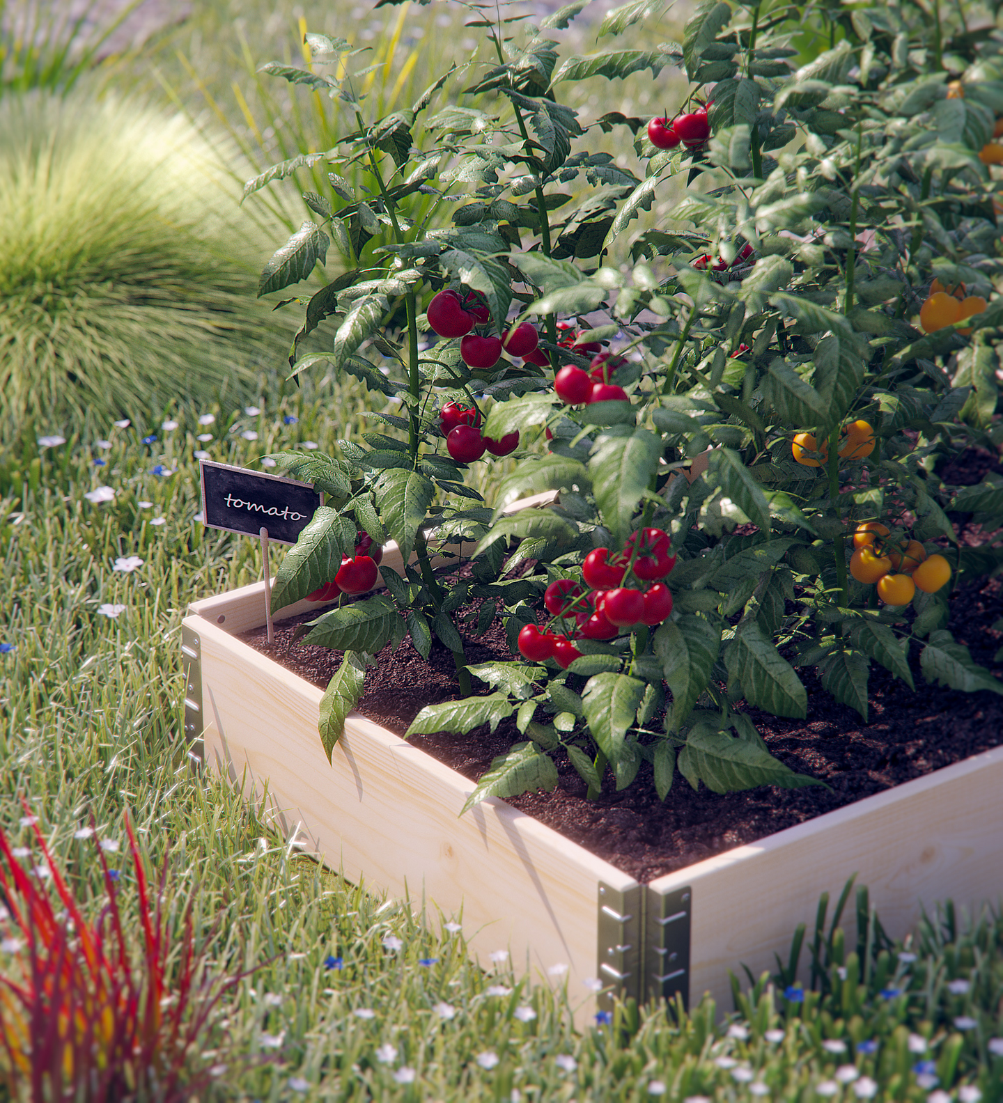 Lavakaulus Goodiy 120x80cm luonnonvärinen