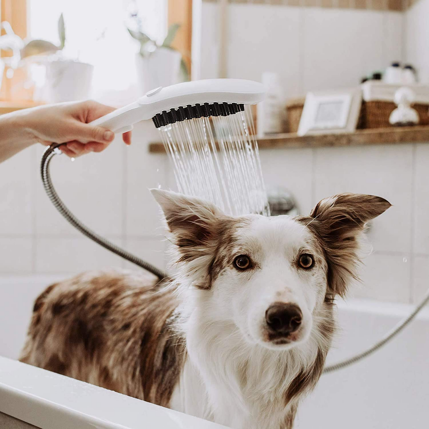 Koirasuihku Hansgrohe Dogshower 150 3Jet Select valkoinen