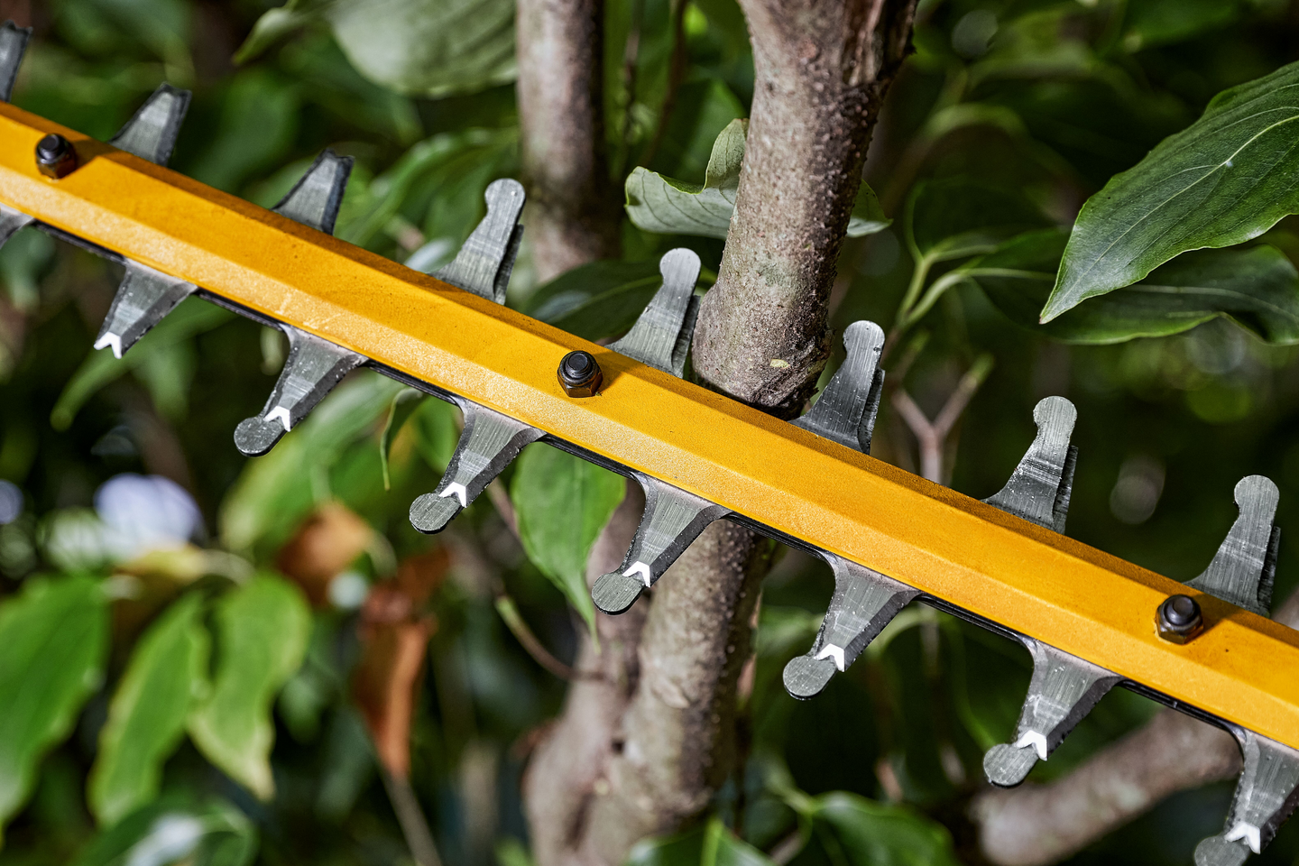 Akkupensasleikkuri DeWalt DCMHT573X1 54V 1x9,0Ah