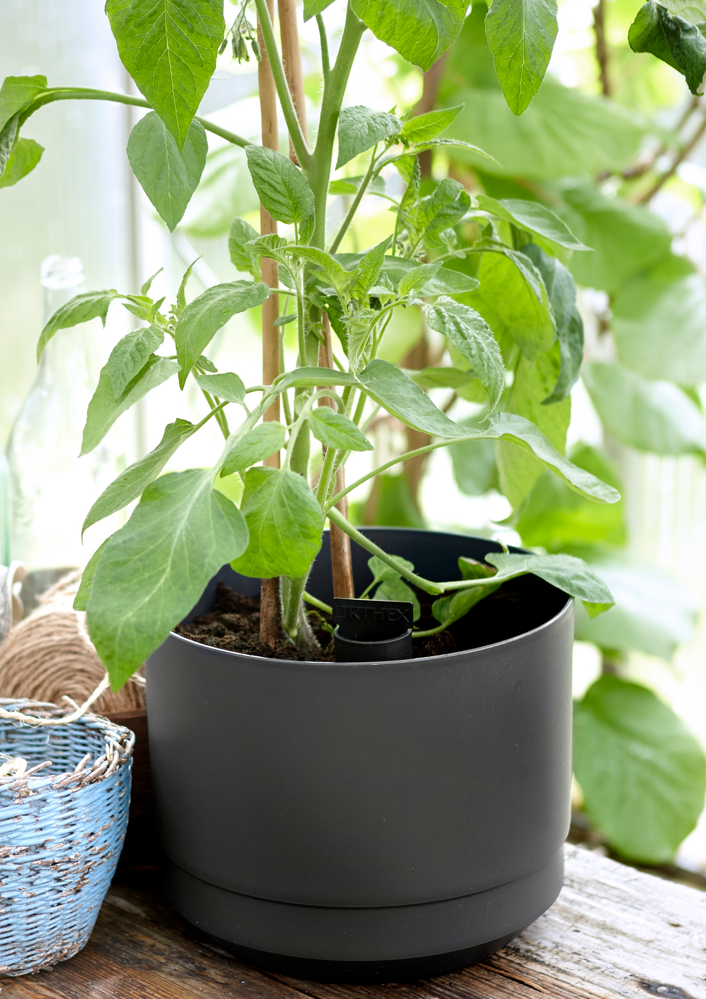 Ruukku Orthex Pauliina 30cm musta