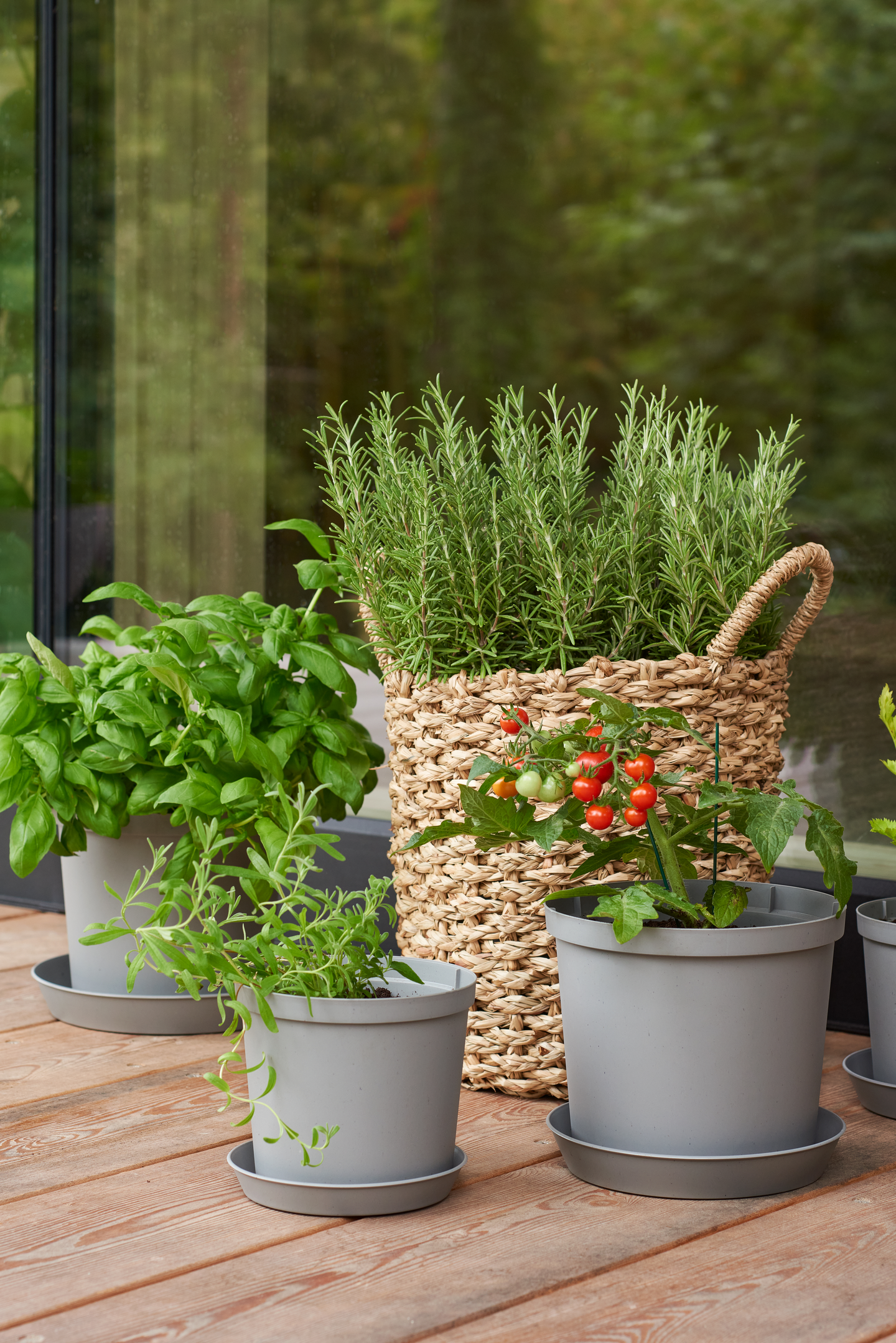 Aluslautanen Orthex Cultivate 18cm harmaa