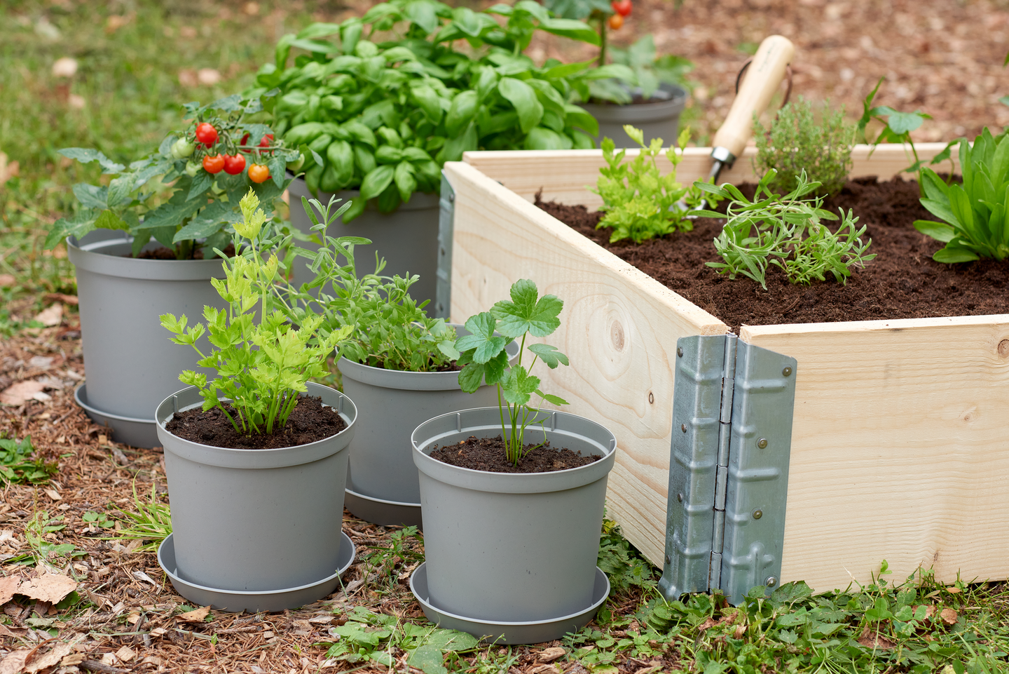 Aluslautanen Orthex Cultivate 14cm harmaa