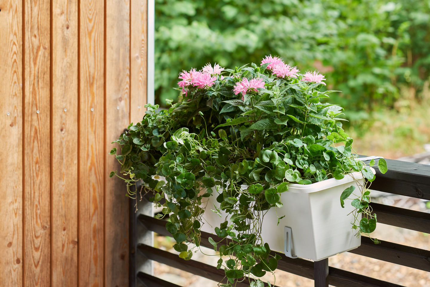 Parvekelaatikko Orthex 100cm valkoinen