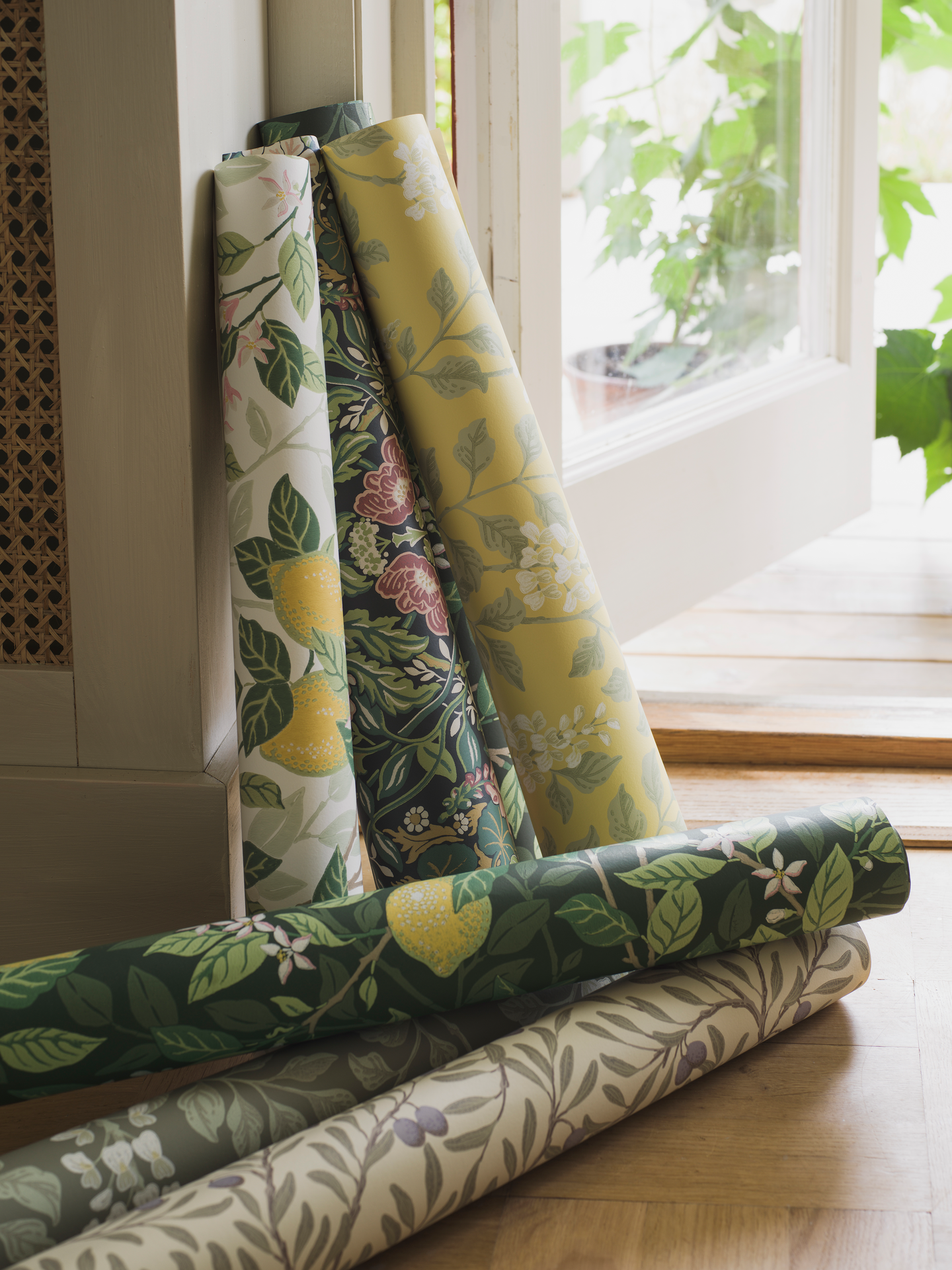 Kuitutapetti Boråstapeter Orangeri 5701 Citronträd 10,05m