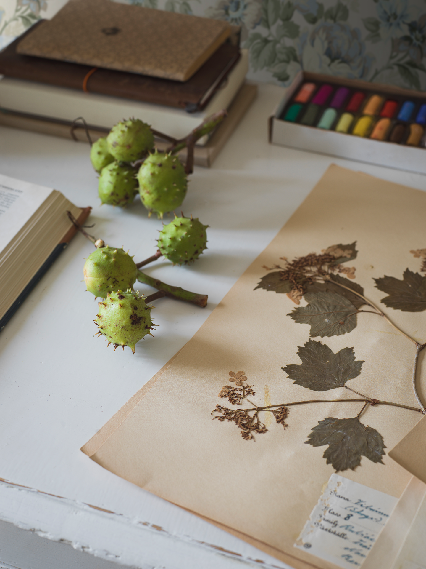 Kuitutapetti Boråstapeter Orangeri 5726 Hortensia 10,05m