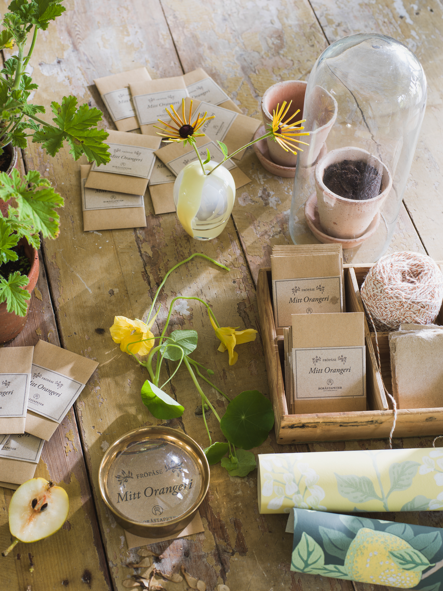 Kuitutapetti Boråstapeter Orangeri 5701 Citronträd 10,05m