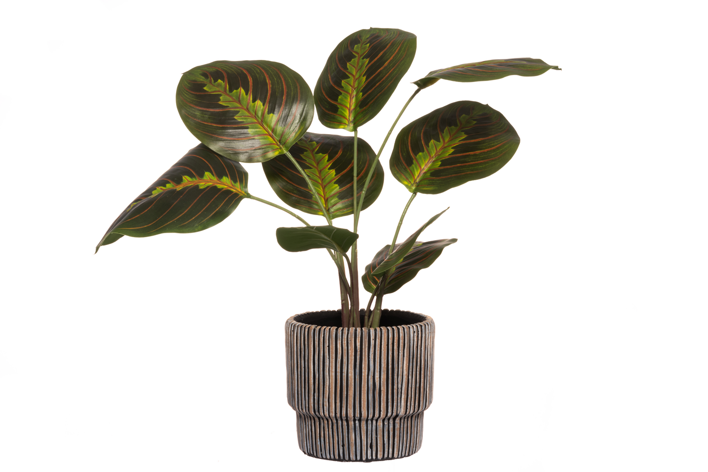 Suojaruukku 4Living Viva 14,5 cm ruskea