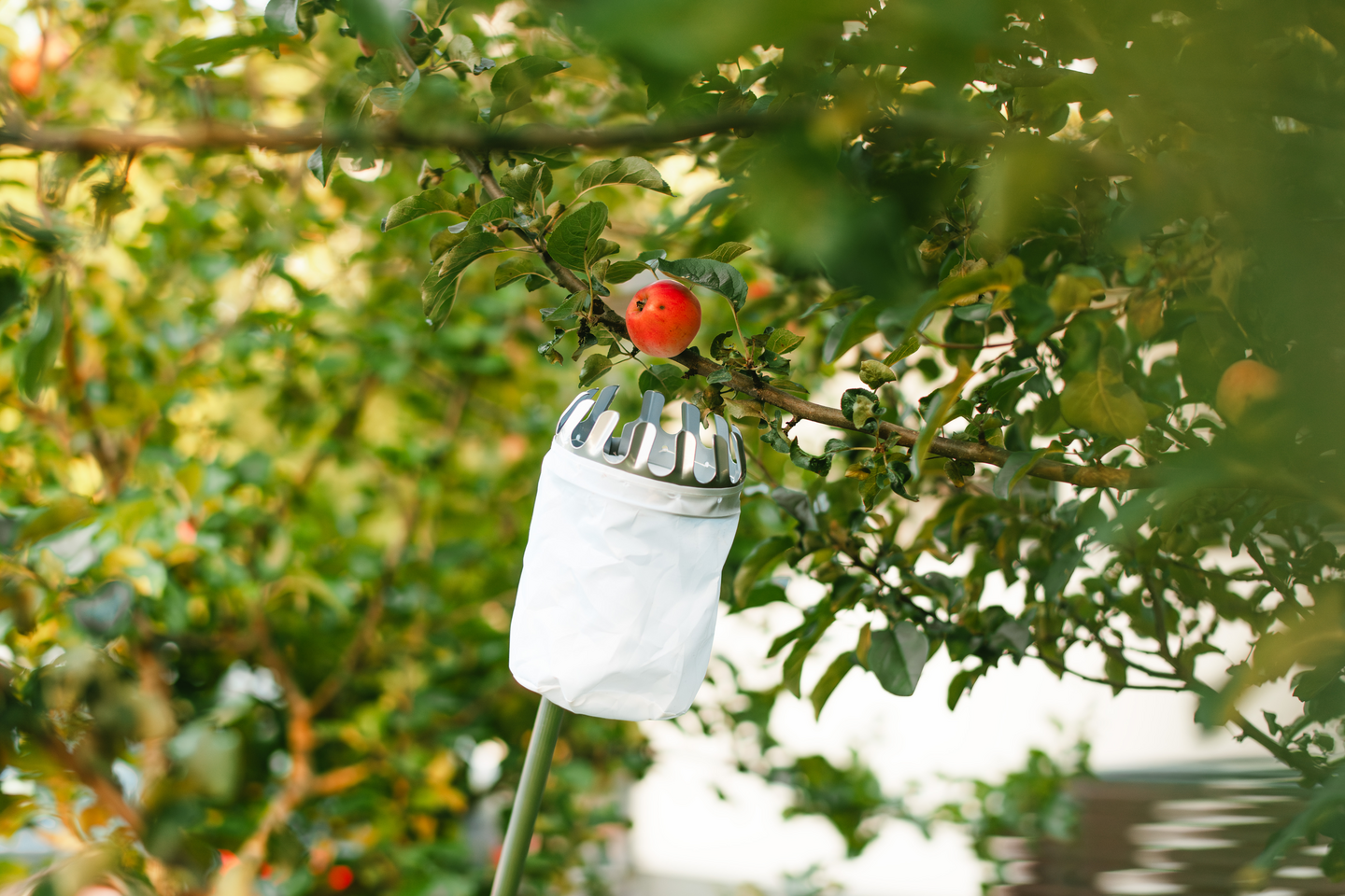 Hedelmäpoimuri Marjukka