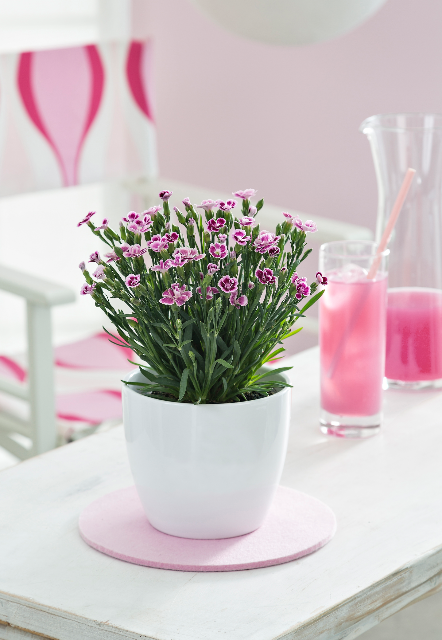 Sisäruukku Scheurich Alaska 14cm valkoinen