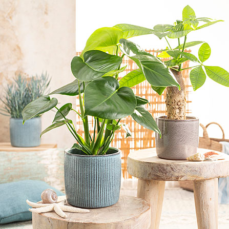 Ruukku Scheurich 909/18cm sininen