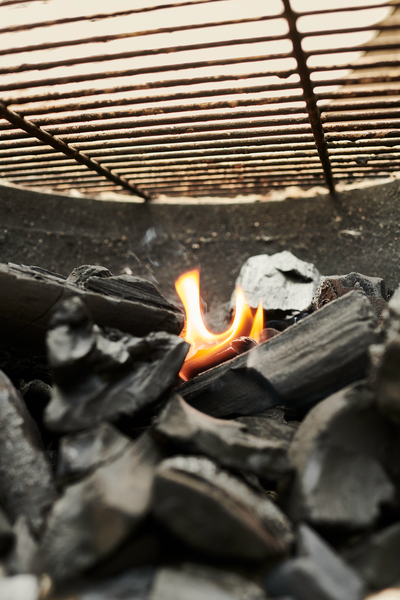 Grillihiili Big Green Egg Pure 9 kg - The Green Choice