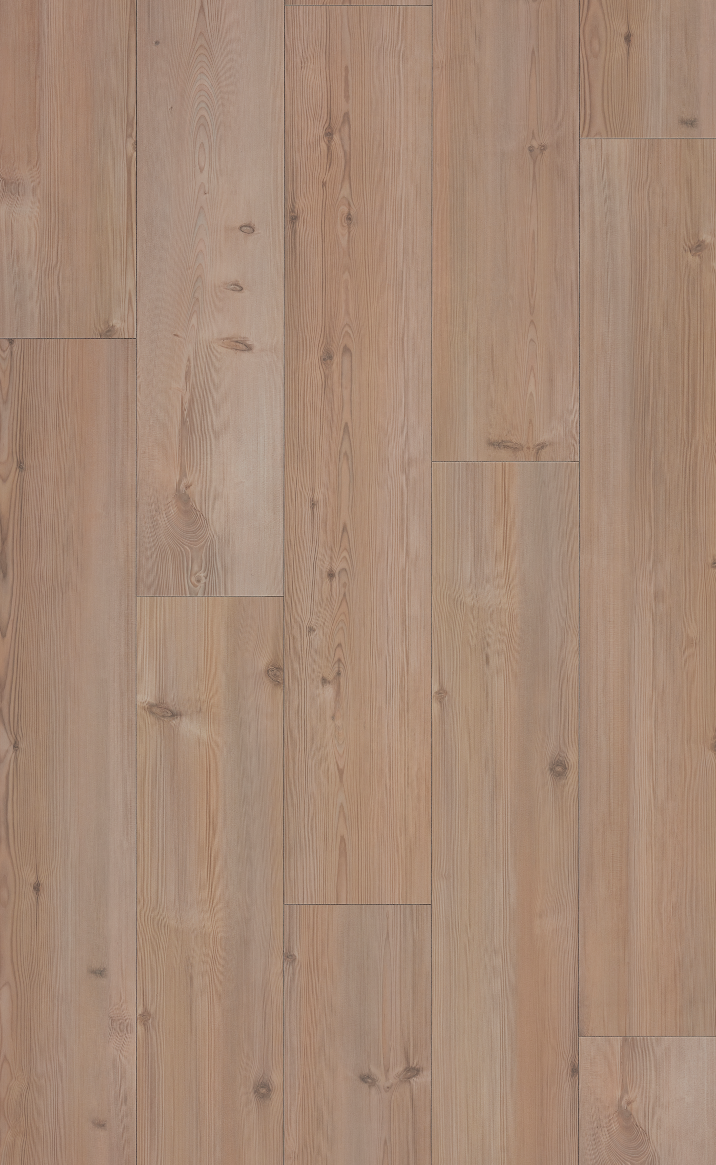 LAMINAT ORIGINAL 62001354 1,9118M² WHITE PINE