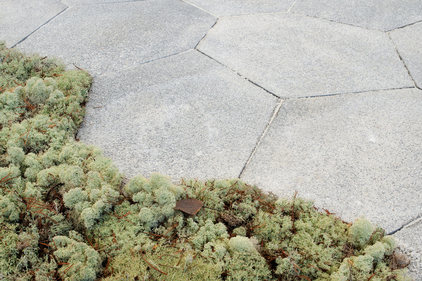 Gaala 80 Rudus 560x430x80mm kuloautere