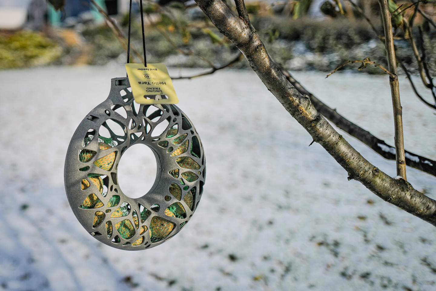 Talipalloteline Rengas