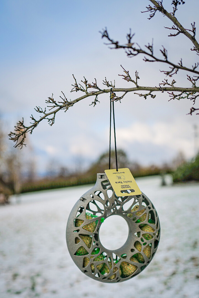 Talipalloteline Rengas