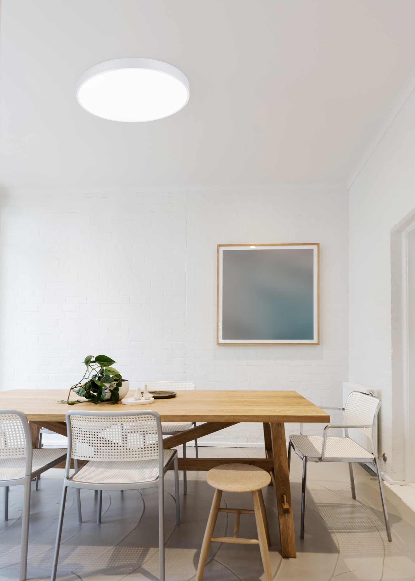 Kattovalaisin TRIO Waco Led 6200Lm 50cm mattavalkoinen