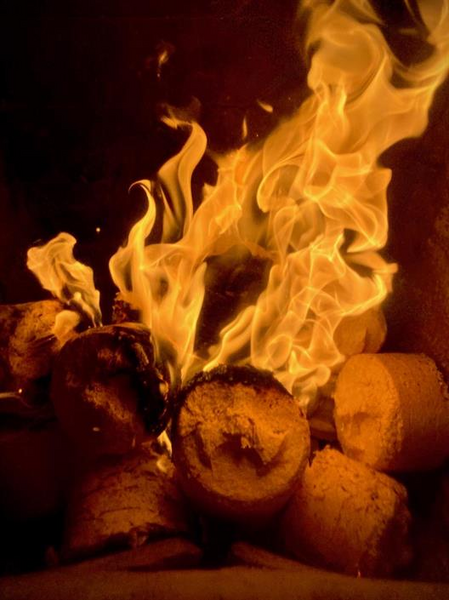 Briketti Uteman Hot 65mm 8kg havu