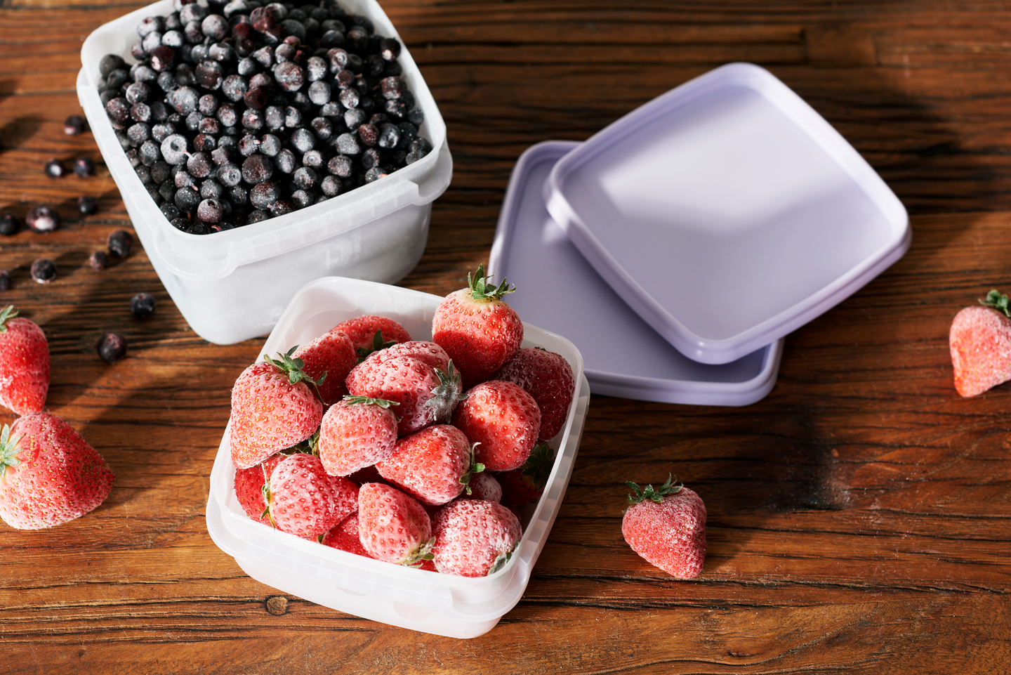 Pakastusrasia Orthex SmartStore Frost 5 x 0,5l