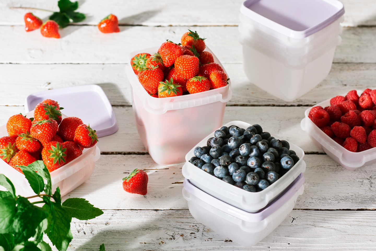 Pakastusrasia Orthex SmartStore Frost 6 x 0,3 l