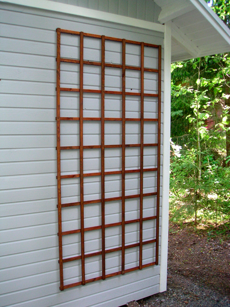 Köynnösritilä Miljöökoriste 80x180cm luonnonruskea