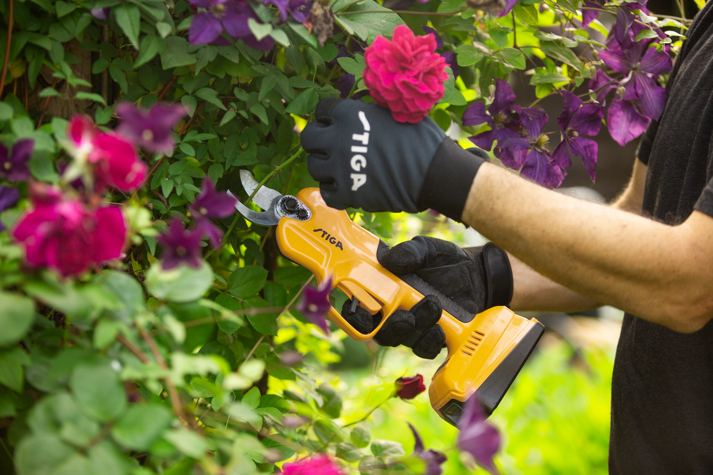 Akkuoksasakset Stiga SC 100e Kit 1x2,0Ah