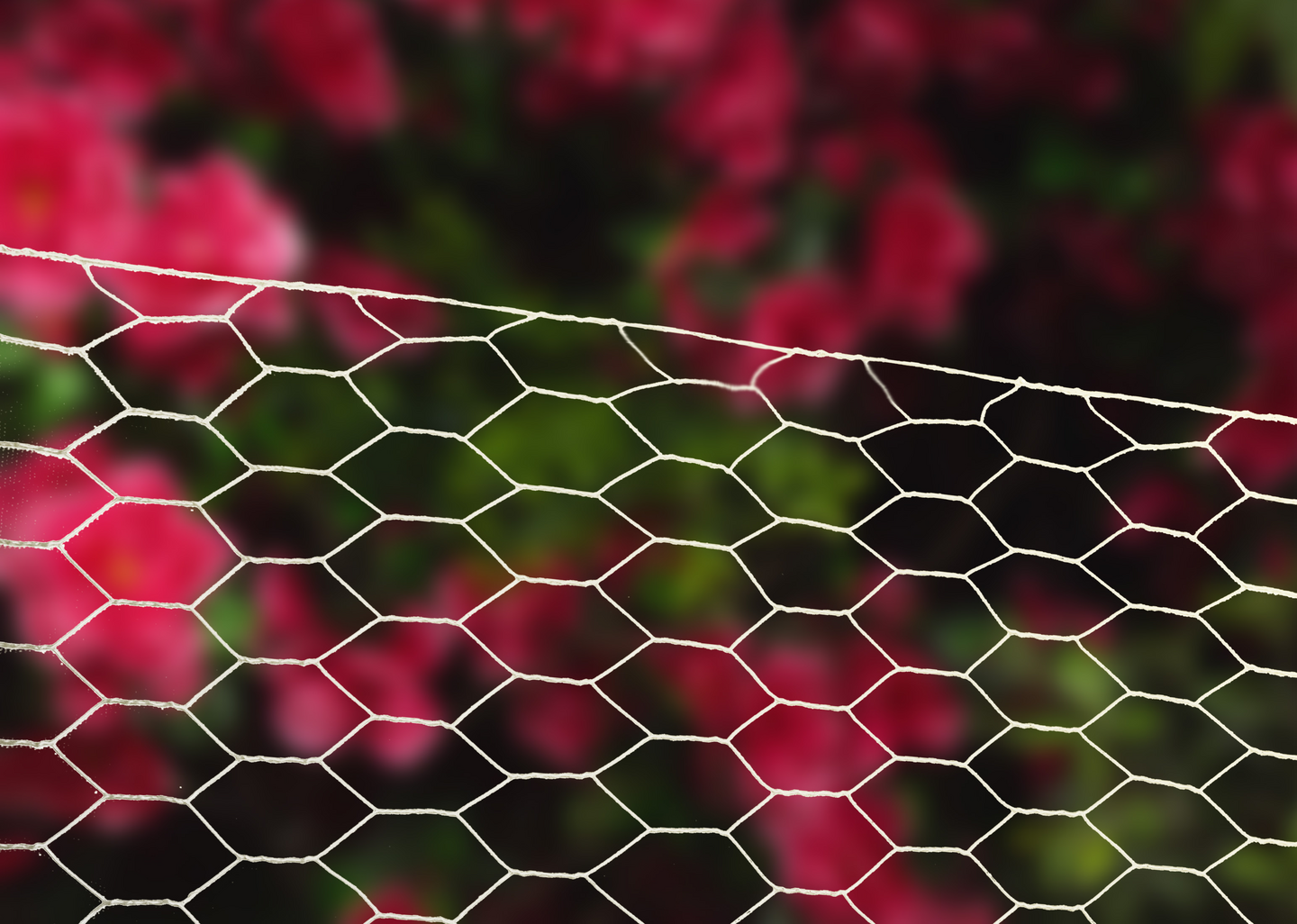 Verkko FXA 6-kulma kuumasinkitty 150cmx50m 40x40mm