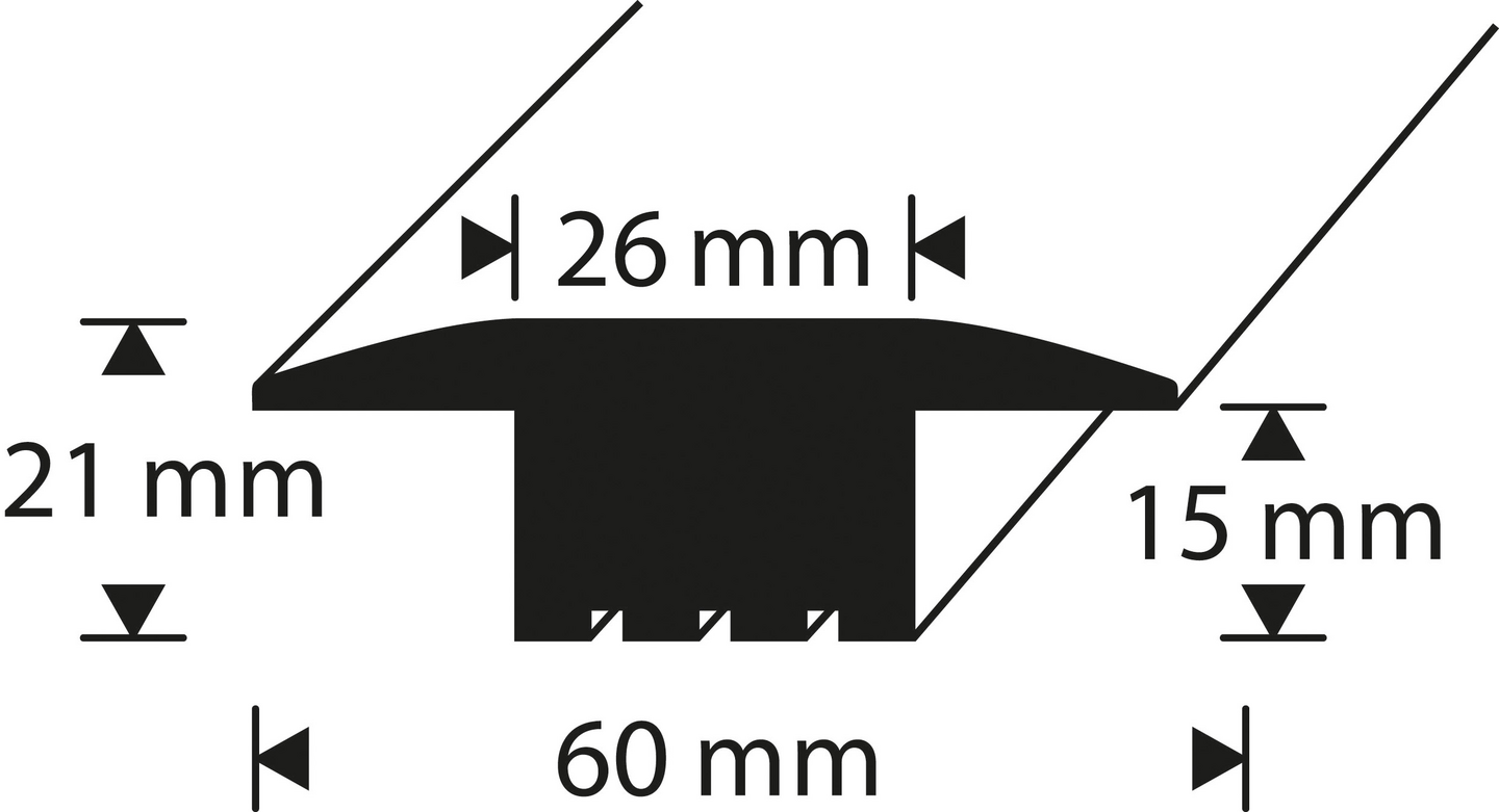 T-profiili 21x60mm valkolakattu tammi WT60 MO 2