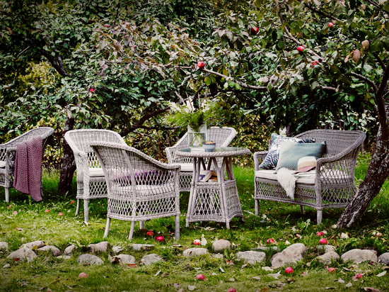 BORD CELLO ROMANTIC 69CM