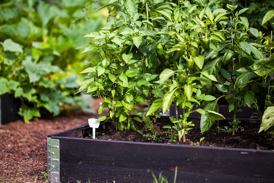 ODLINGSKRAGE 120X80CM SVART GOODIY