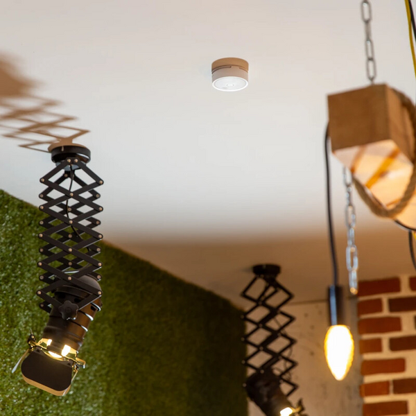 Palovaroitin optinen Shelly Plus