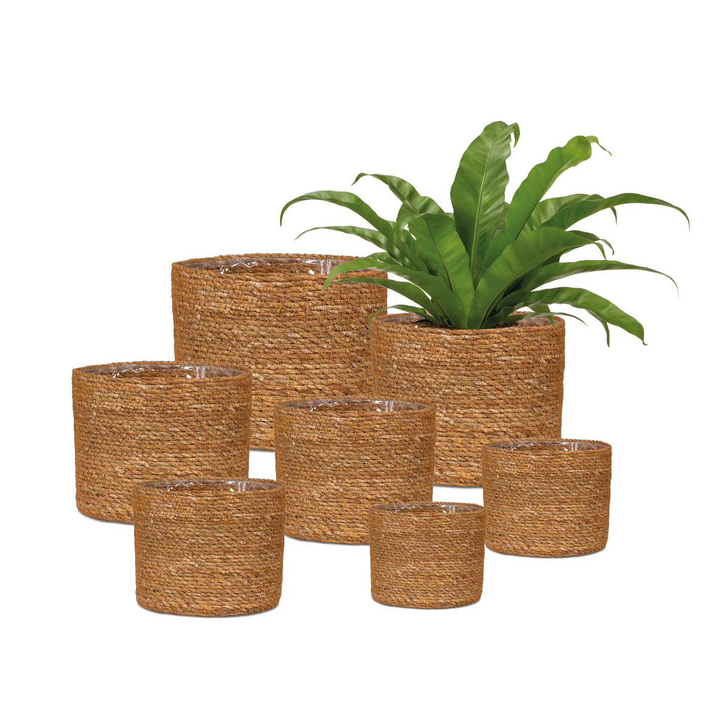 Koriruukku Scheurich 508/15 pähkinän ruskea