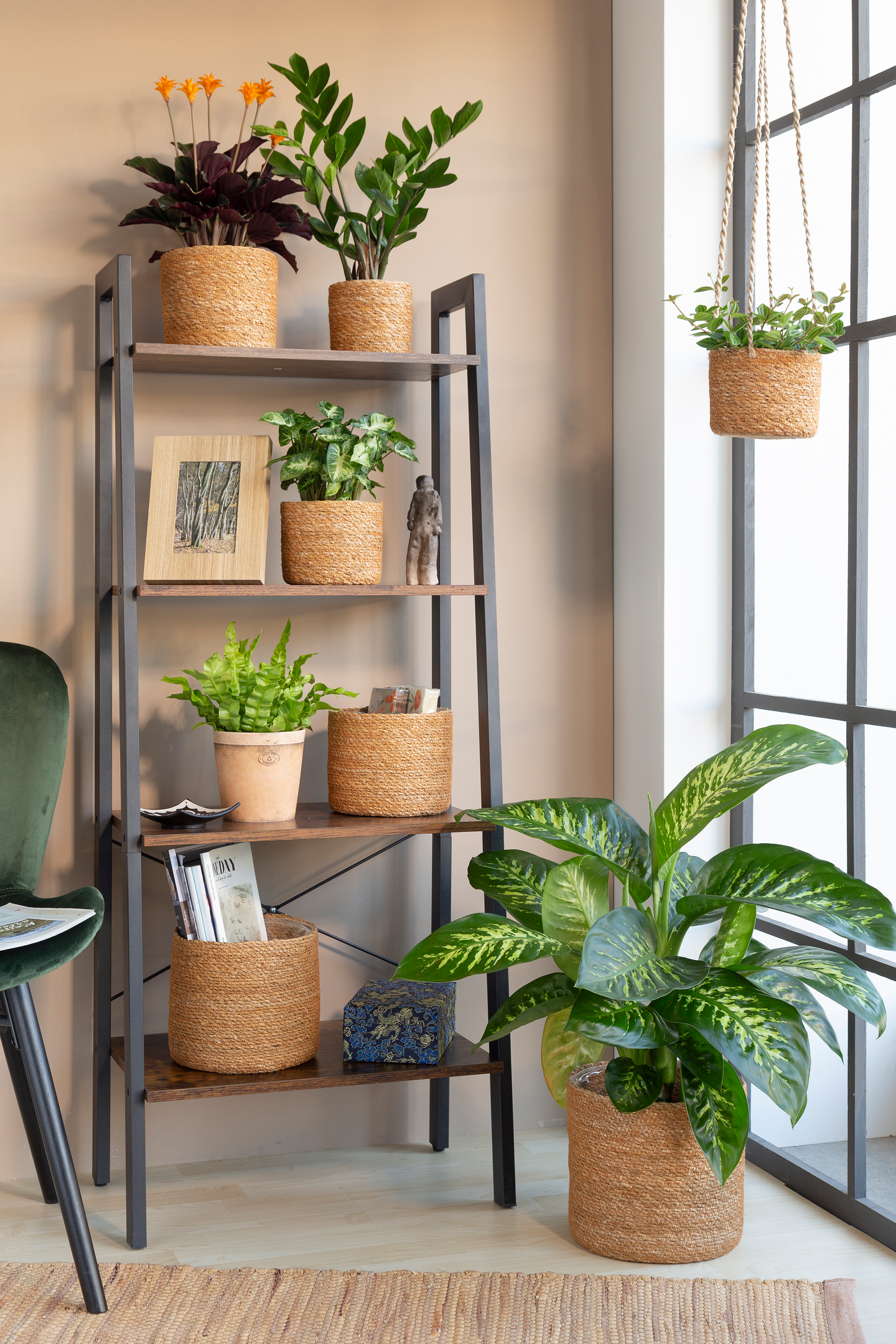 Koriruukku Scheurich 508/15 pähkinän ruskea