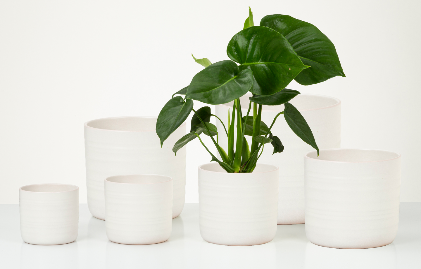 Ruukku Scheurich 850/14 l.valkoinen