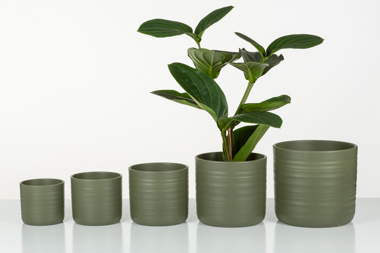 Ruukku Scheurich 850/14 tummanvihreä