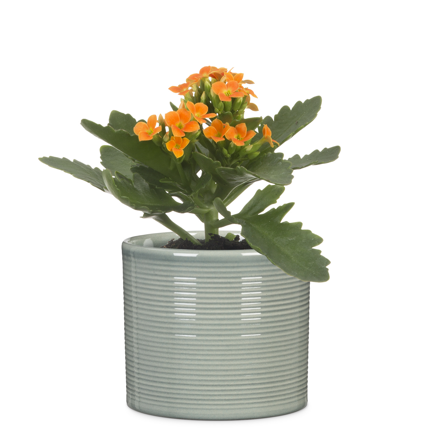 Ruukku silinteri Scheurich 828/19 salvian vihreä