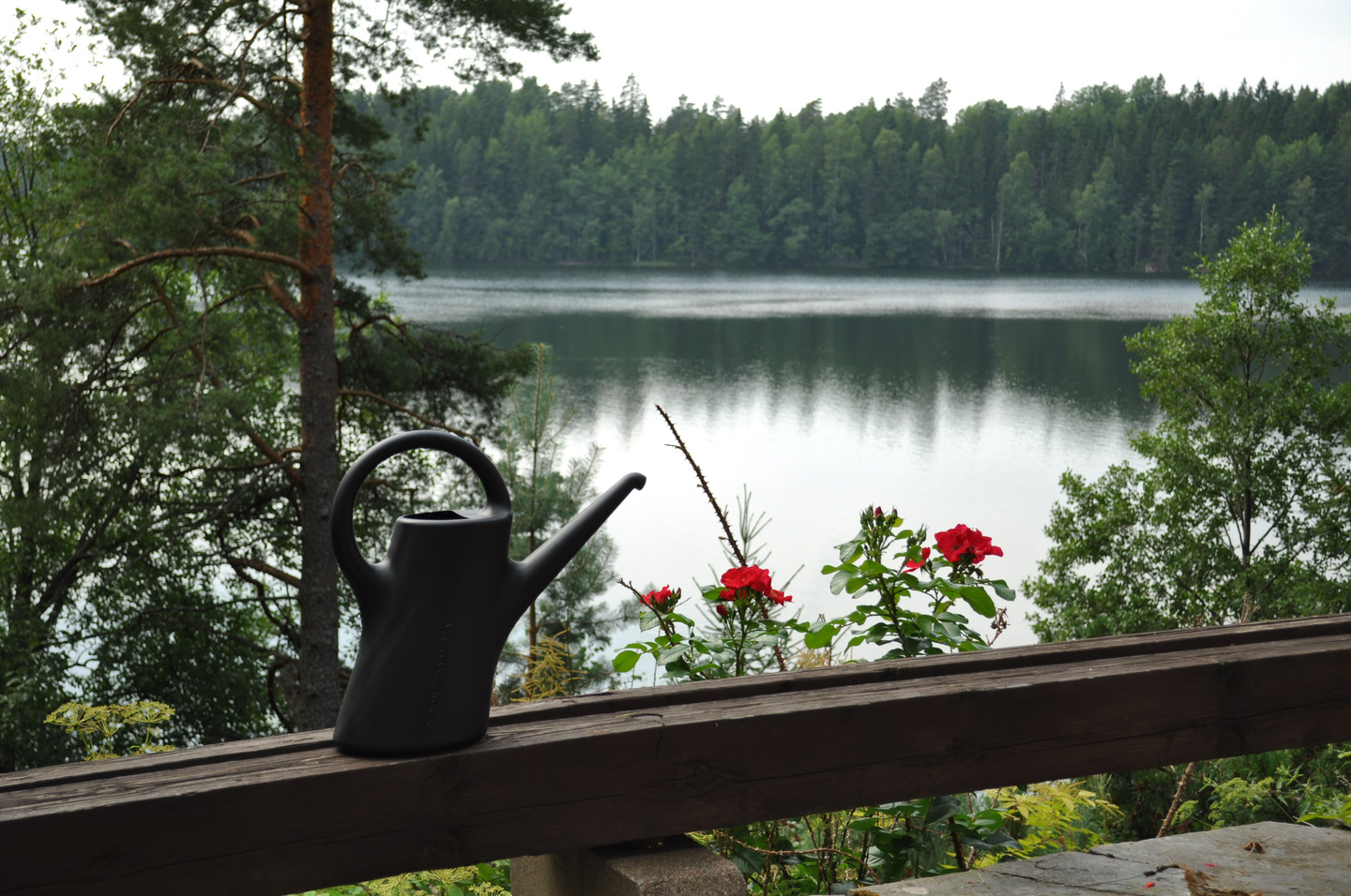 Kastelukannu Plastex Evergreen 5l musta