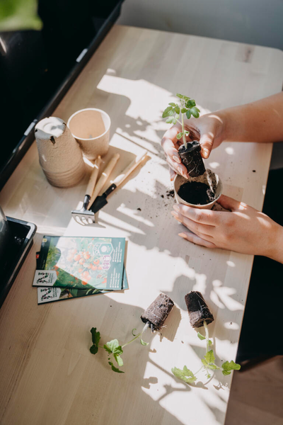 Esikasvatusruukku Nelson Garden 8cm kuitu pyöreä 12kpl