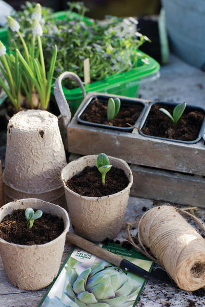 Esikasvatusruukku Nelson Garden 8cm kuitu pyöreä 12kpl