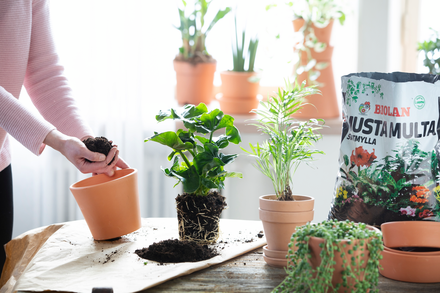 Kukkamulta Biolan musta multa 24l