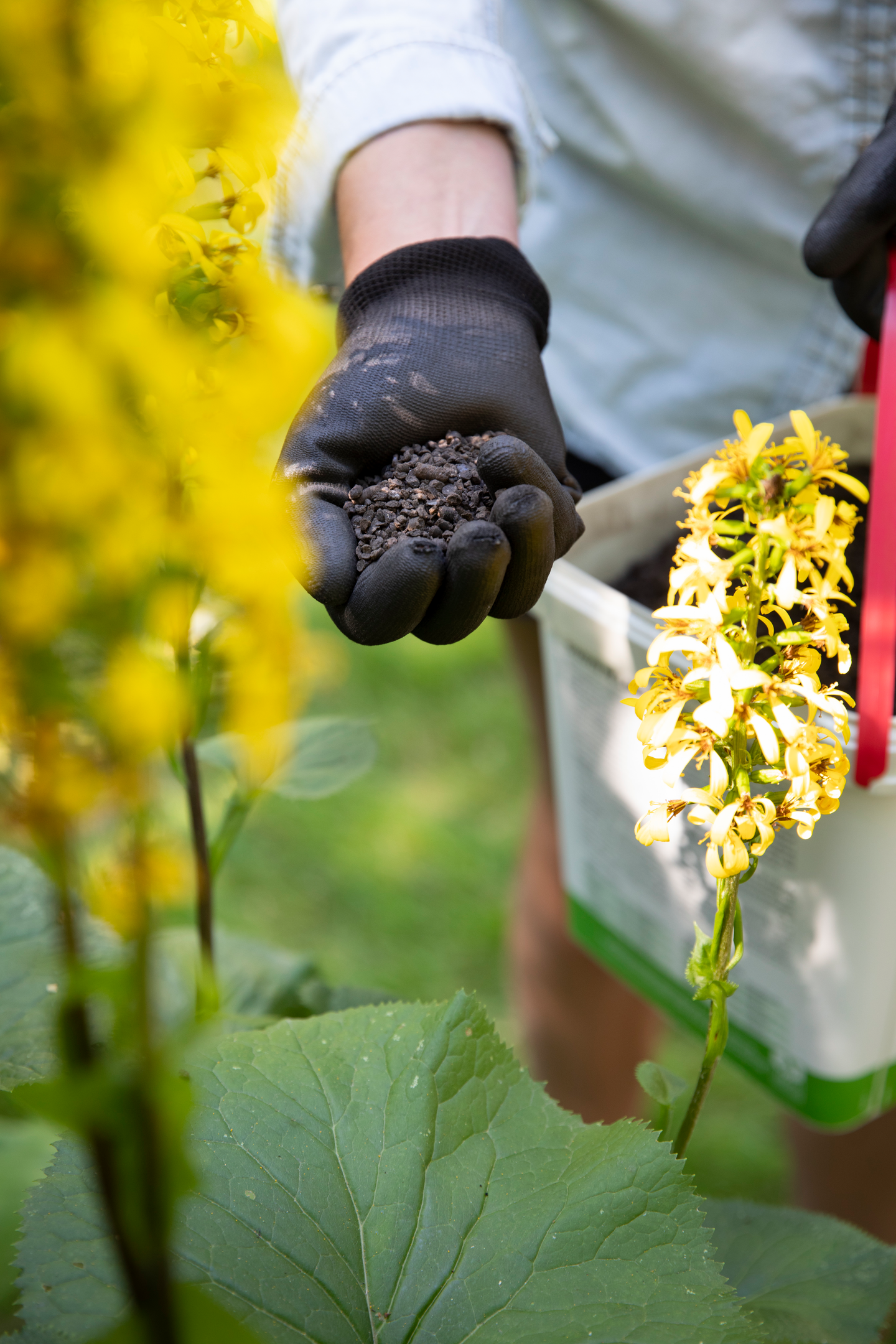 Syksyn pk-lannoite Biolan 10l