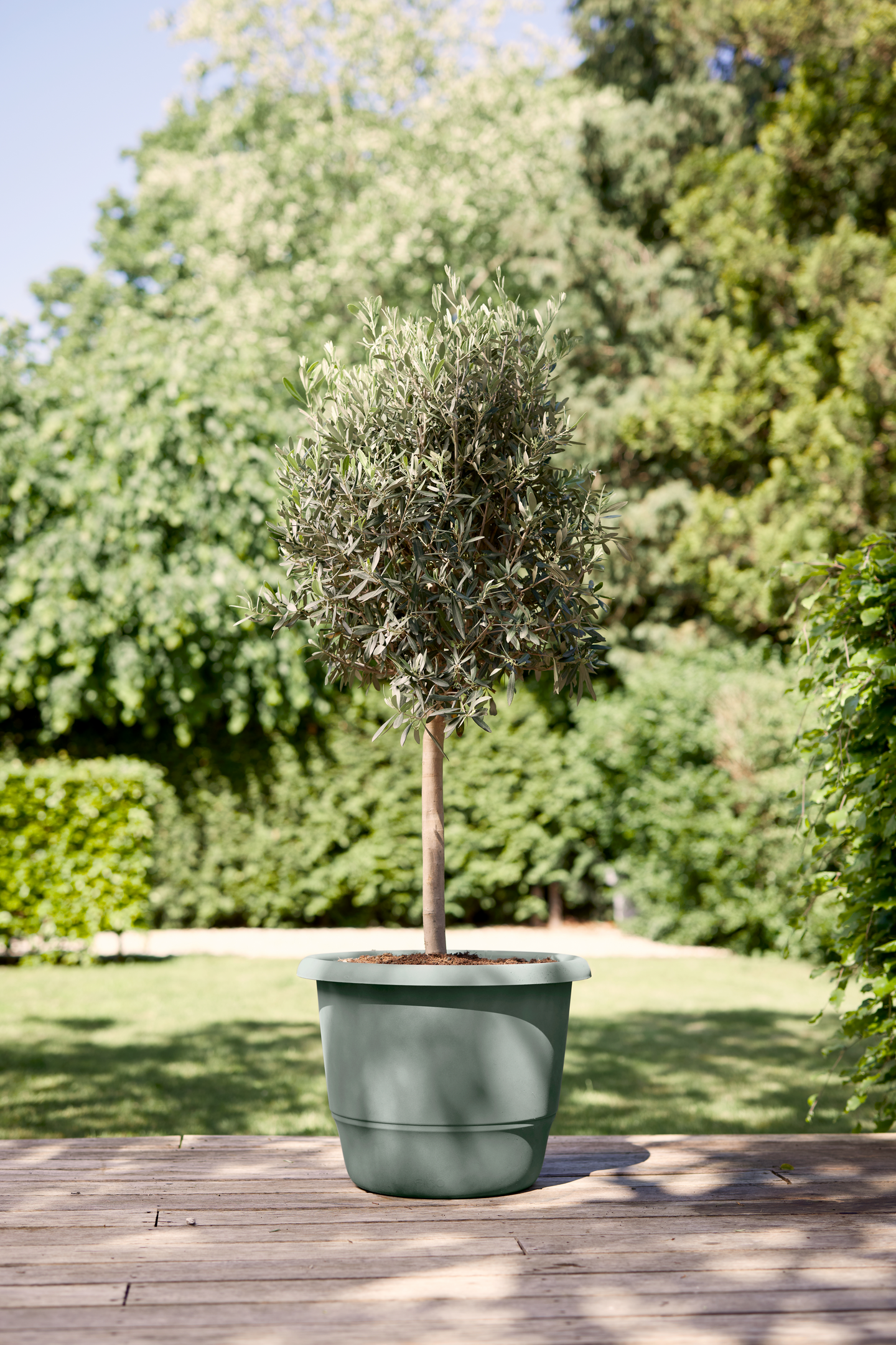 Ruukku Elho Amiga 30cm timjamin vihreä