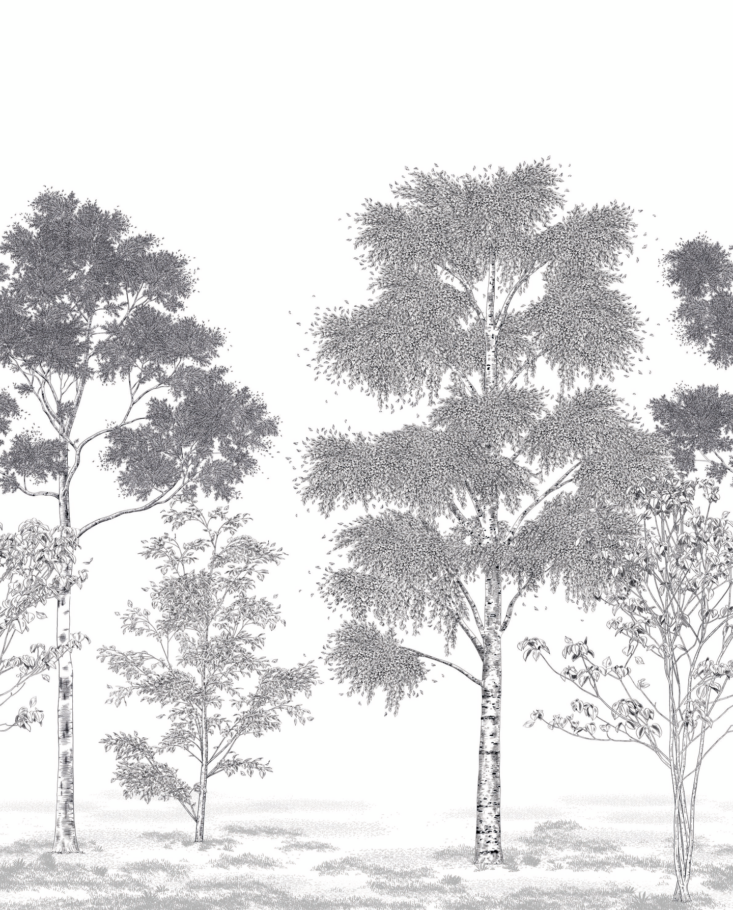 Kuvatapetti Caselio Balade Poesie printaniere BLD106169002 250x310cm