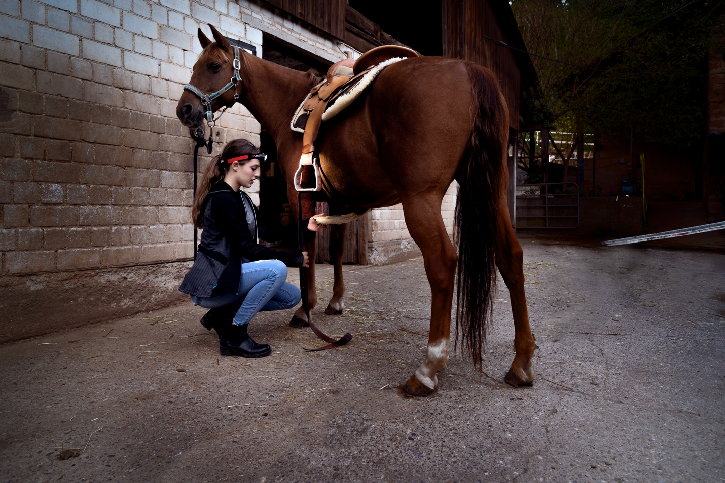 Otsalamppu Ledlenser H8R musta 600lm ladattava