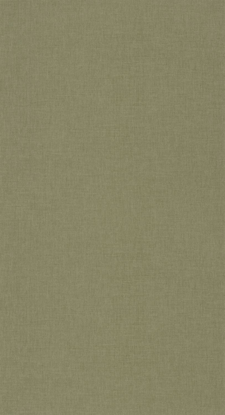 Kuitutapetti Caselio Balade Uni BLD100607405 10,05m