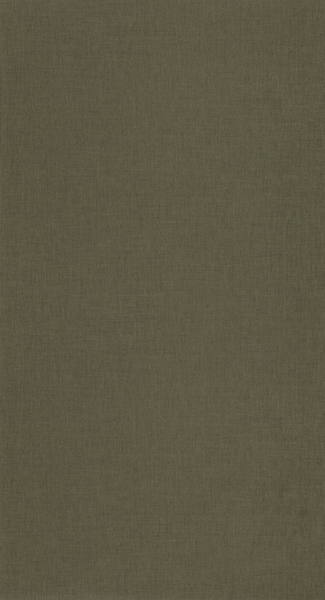 Kuitutapetti Caselio Balade Uni BLD100607537 10,05m