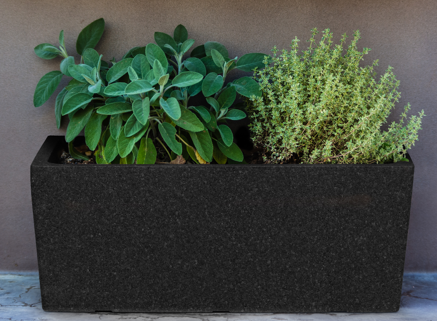 Termoruukku 4Living Terde 55cm musta