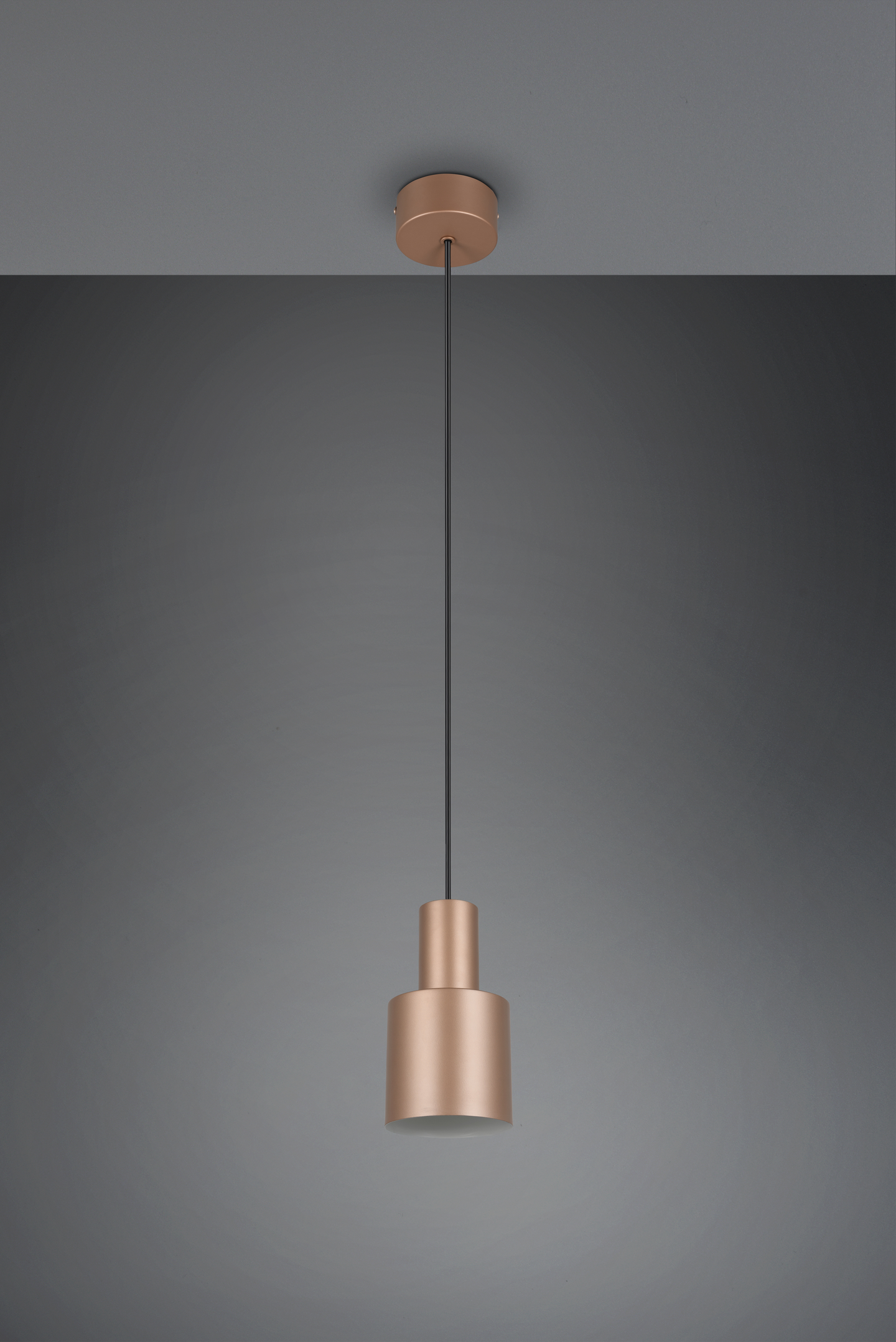 Riippuvalaisin TRIO Agudo E27 1-os kahvinruskea